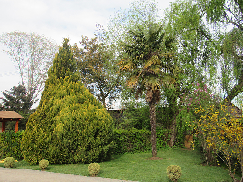 INMOBILIARIA PARQUE LAS ROSAS S A LINARES