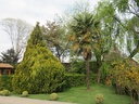 INMOBILIARIA PARQUE LAS ROSAS S A LINARES
