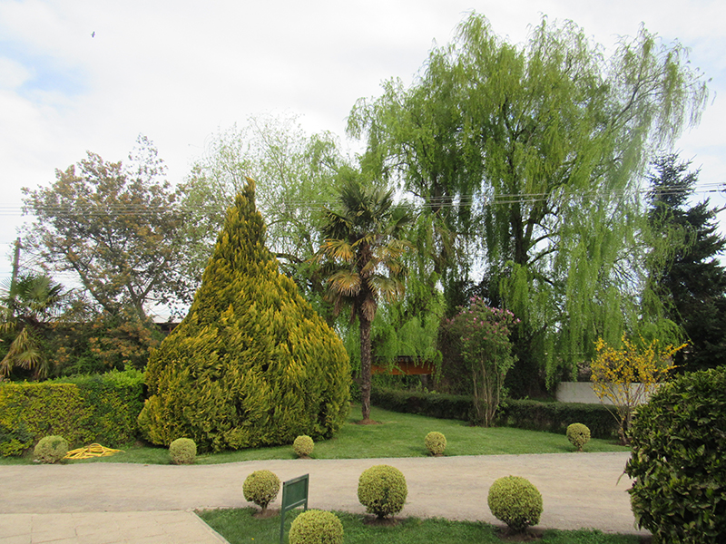 INMOBILIARIA PARQUE LAS ROSAS S A LINARES