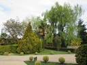 INMOBILIARIA PARQUE LAS ROSAS S A LINARES
